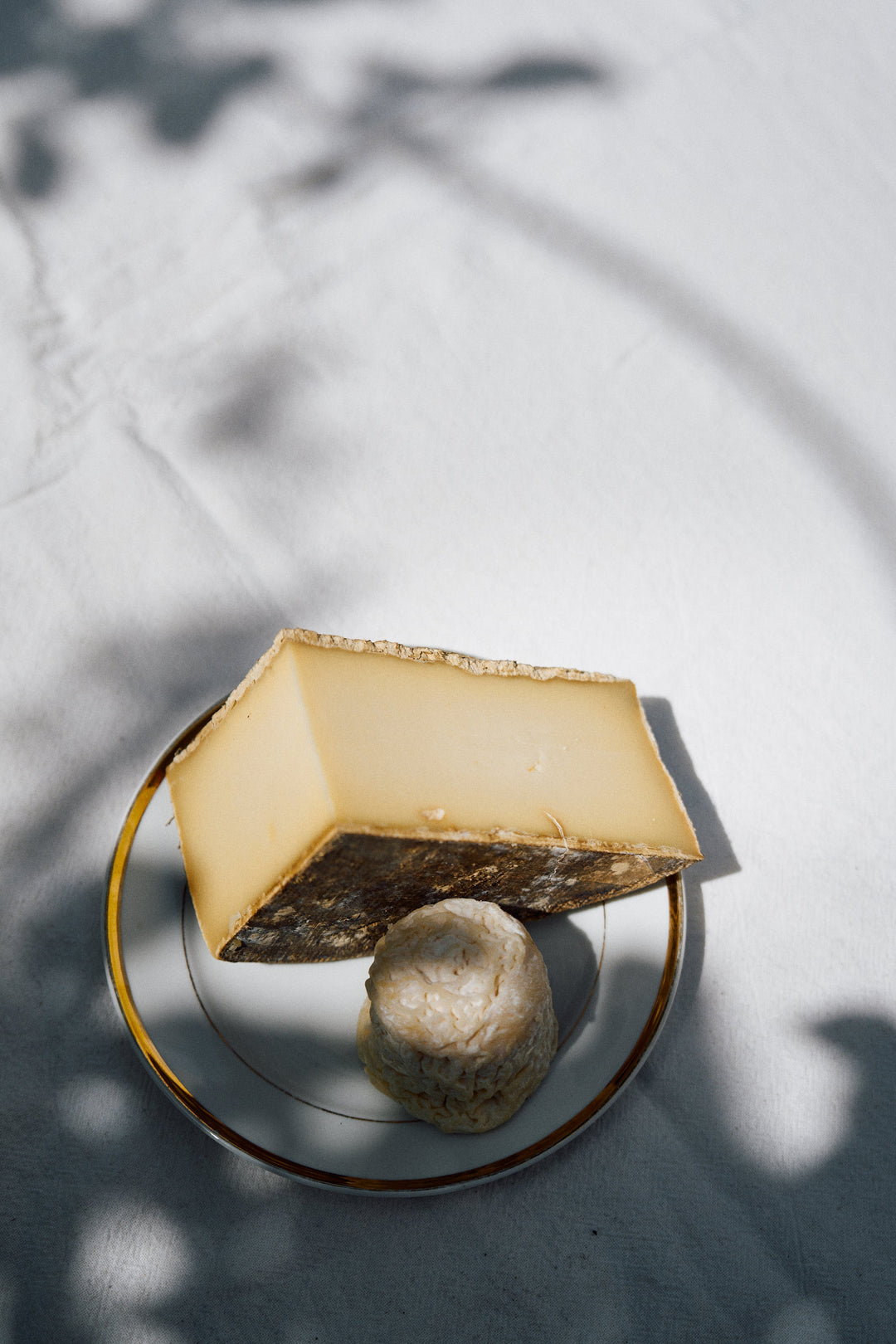 Käse