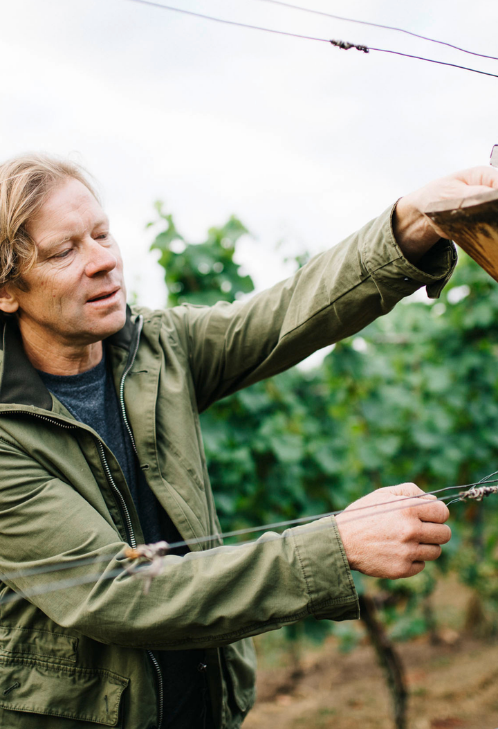 Ein Abend mit Weingut Michael Andres | 24.10.25 | 18-21 Uhr