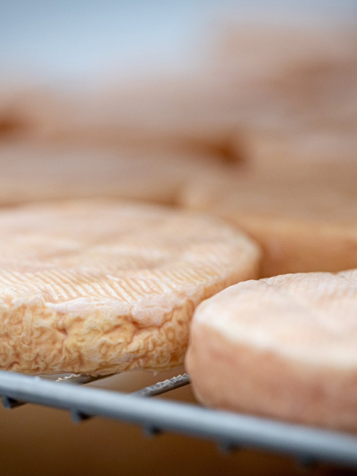Käse-Tasting mit Münchner Käse Manufaktur | 07.11.25 | 18-21 Uhr